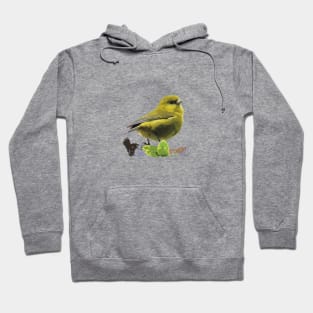 ʻAkekeʻe, Kauaʻi Honeycreeper Hoodie